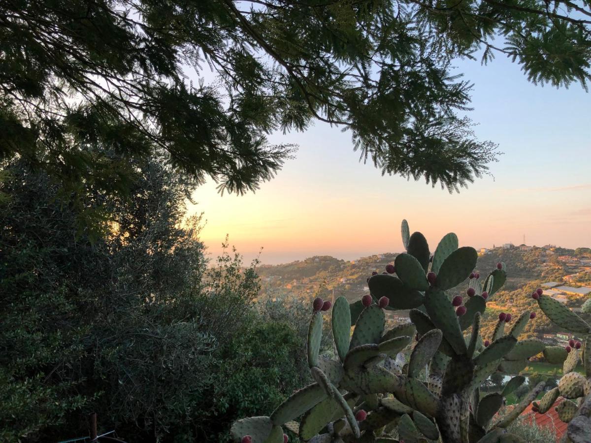 Villa D'Artisti Sanremo Luaran gambar