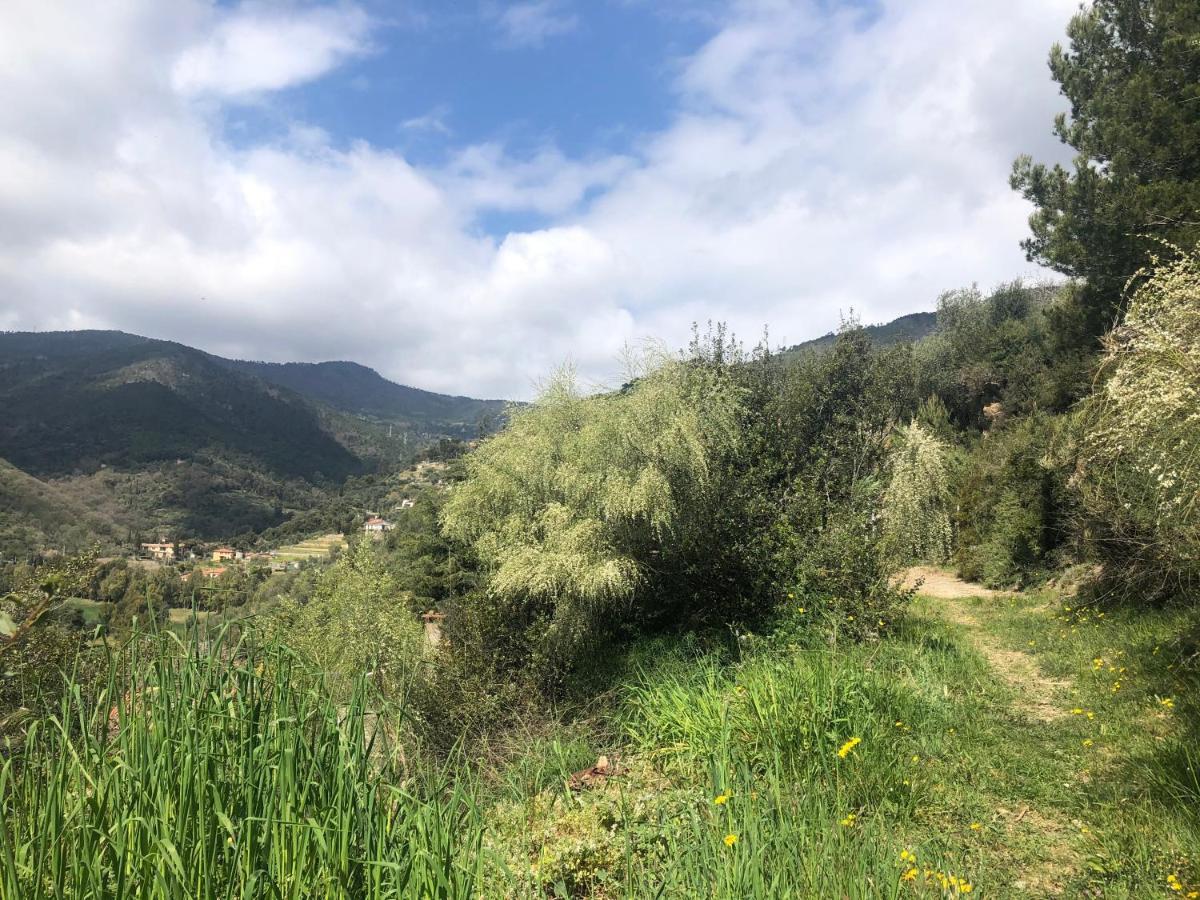 Villa D'Artisti Sanremo Luaran gambar