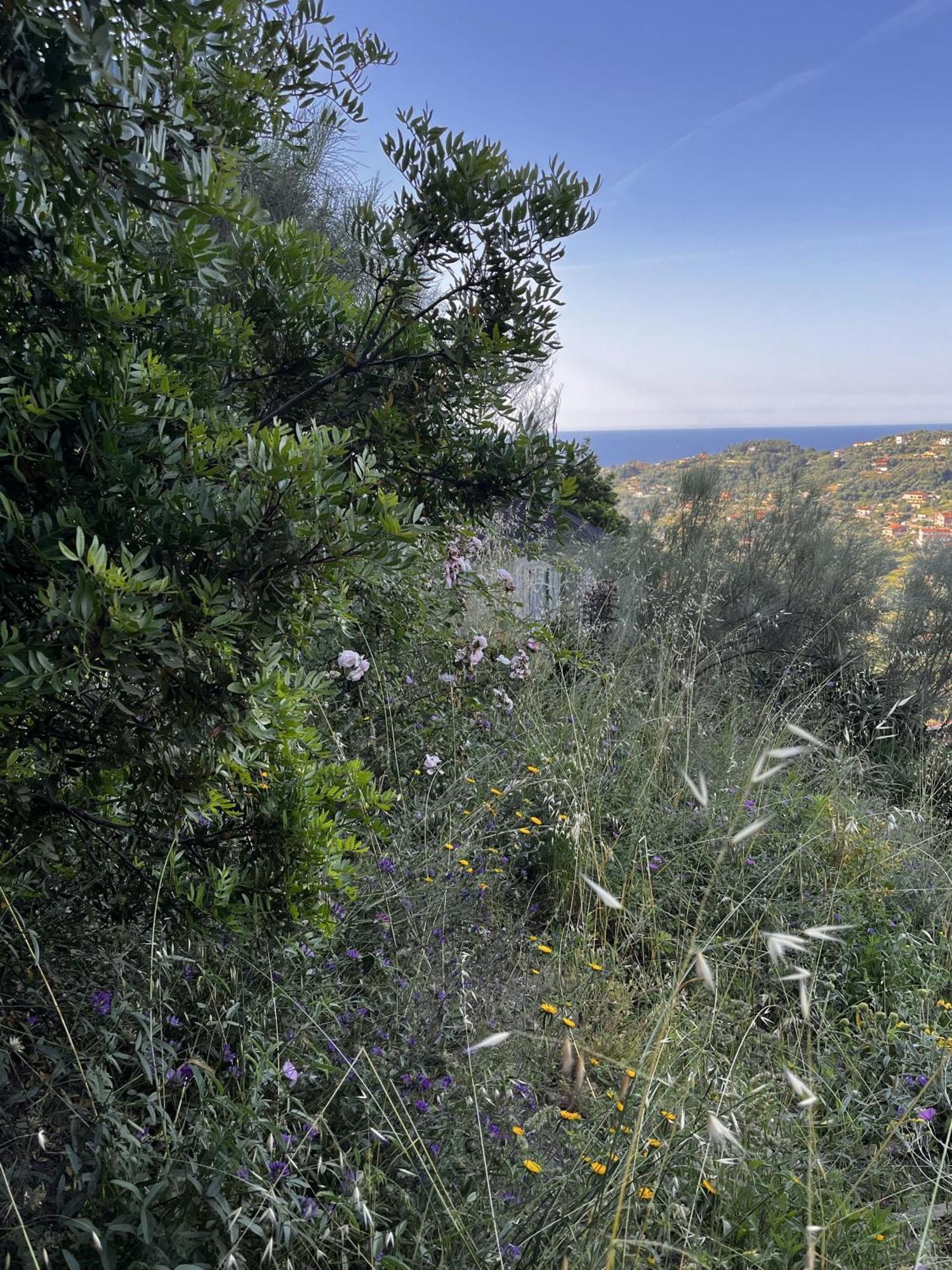 Villa D'Artisti Sanremo Luaran gambar